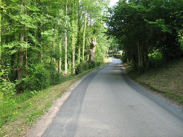 the narrow tree lined road at the start of our walk into honfleur